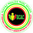 Ethiopian Community Association In Connecticut Inc